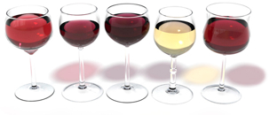 Wine & Dine